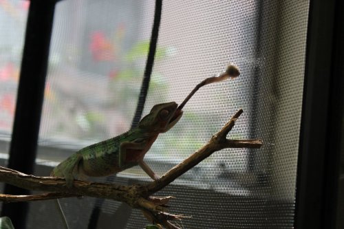 2017-05-26 15.17.37-2.jpg