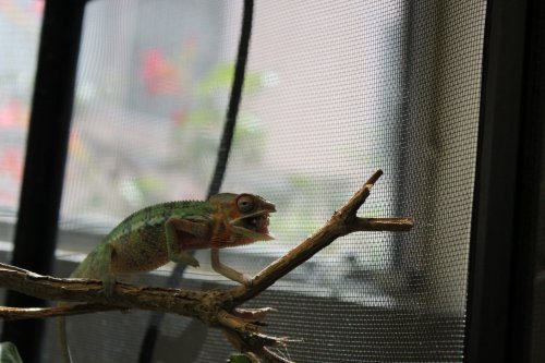 2017-05-26 15.17.38.jpg