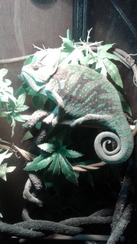 20170214_074512.jpg