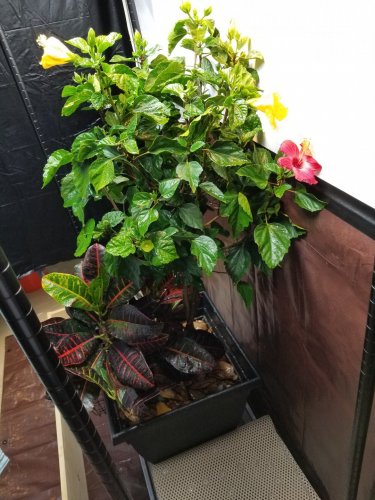 20170603_170356.jpg