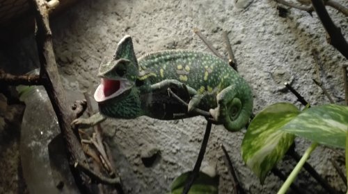 IMG_20170605_173542.jpg
