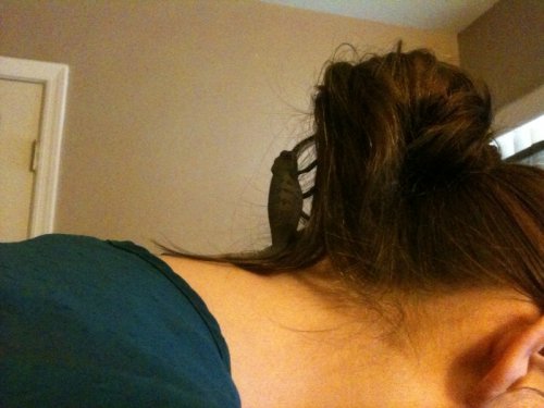 photohair.jpg photohair.jpg