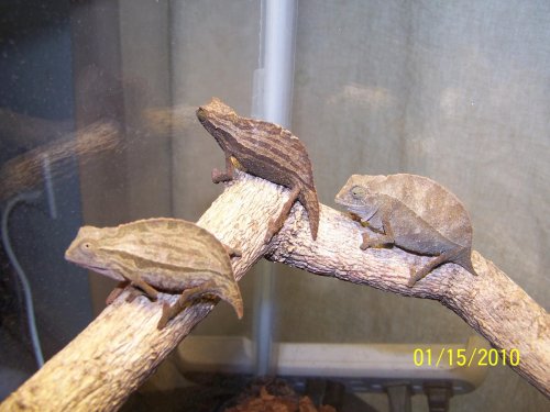 100_2116.jpg