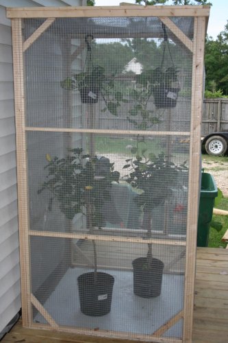 dos and lights 244.jpg