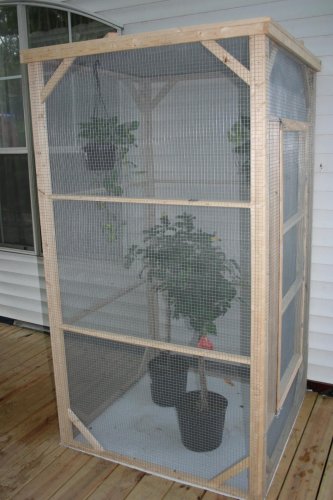 dos and lights 245.jpg