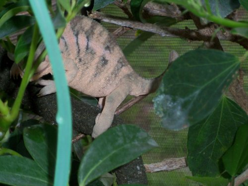 100_0228.jpg