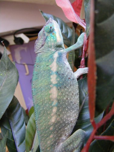 DSCF1004.jpg