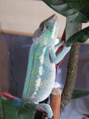 DSCF1029.jpg