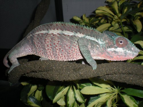 DSCN3870.jpg