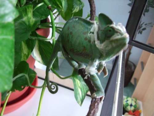 pics 001.jpg