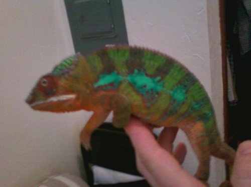 1st set of pictures 036.jpg