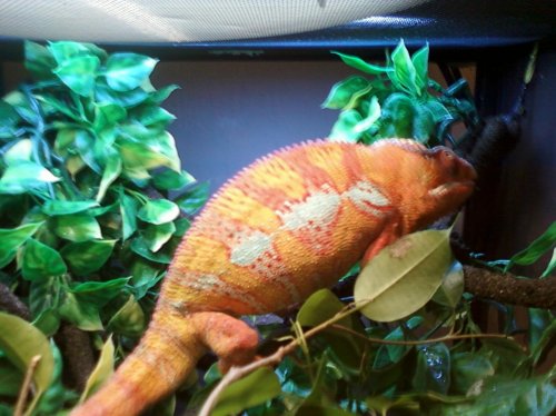 1st set of pictures 047.jpg