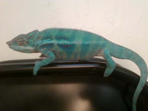 2nd set of pictures 003.jpg