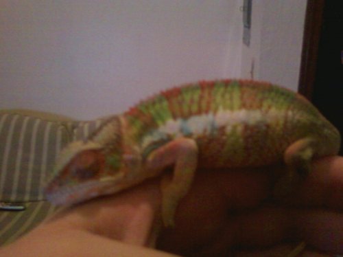 1st set of pictures 004.jpg