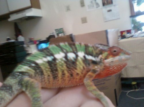 1st set of pictures 005.jpg