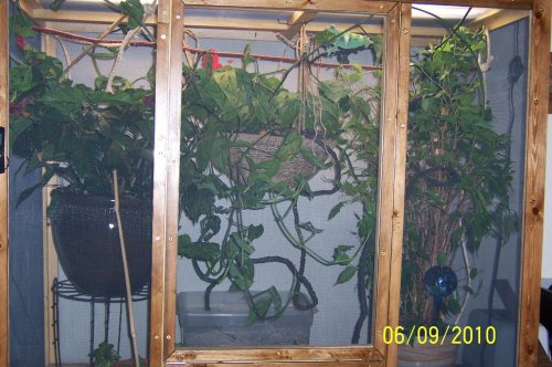 100_0650.jpg