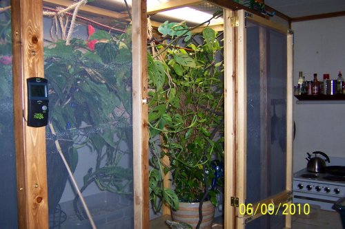 100_0657.jpg