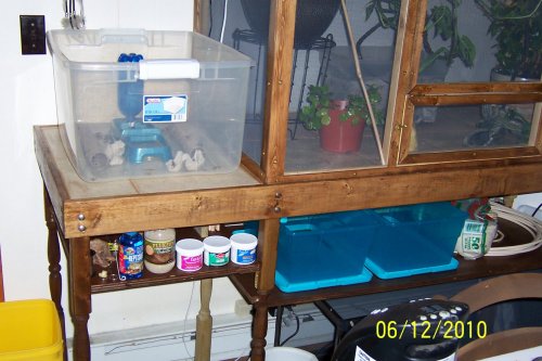100_0665.jpg