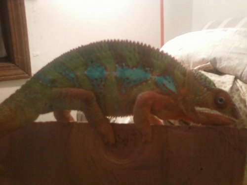 3rd set of photos 081.jpg