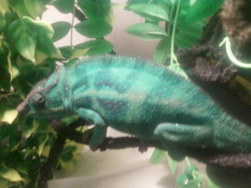 3rd set of photos 092.jpg