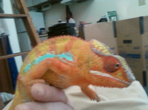 1st set of pictures 008.jpg