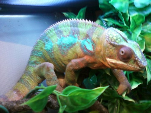 1st set of pictures 034.jpg