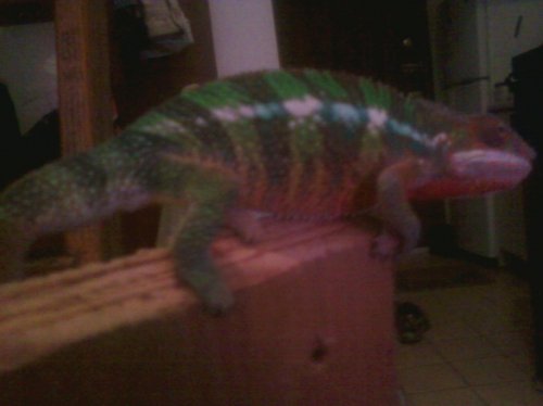 3rd set of photos 116.jpg