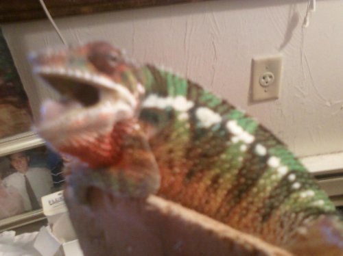 3rd set of photos 050.jpg