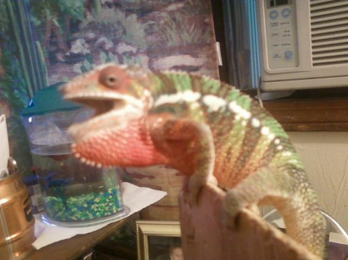 3rd set of photos 031.jpg