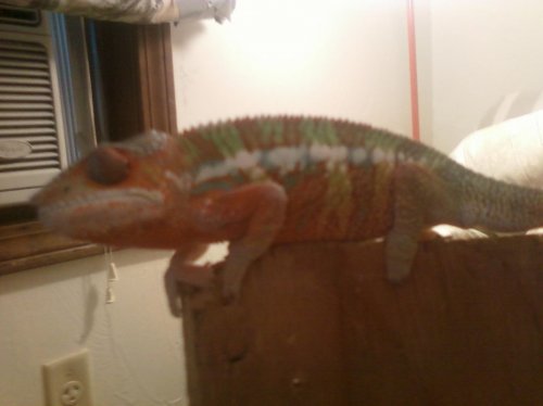 3rd set of photos 058.jpg