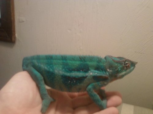 2nd set of pictures 007.jpg