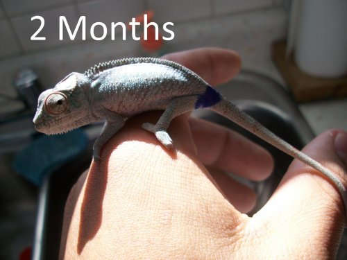 2 Months.jpg