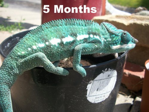 5 Months.jpg