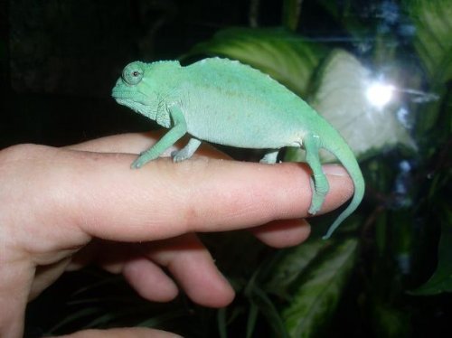 6 Monate alt 0.1.JPG