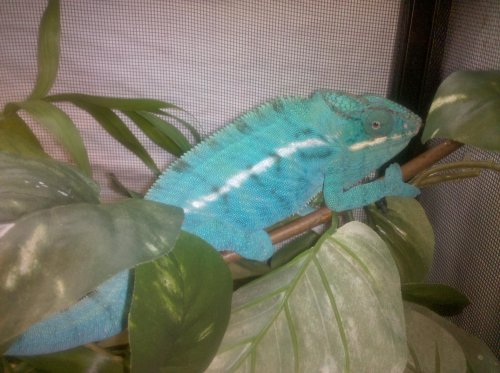 2010-06-15 16.00.16.jpg