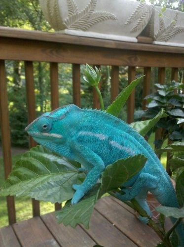 2010-06-16 17.26.46.jpg