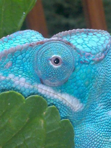 2010-06-16 17.34.26.jpg