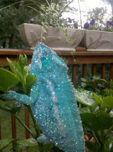 2010-06-16 17.37.27.jpg