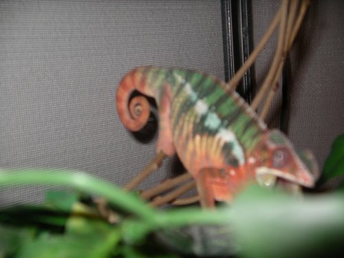 Pictures 2010 015.jpg