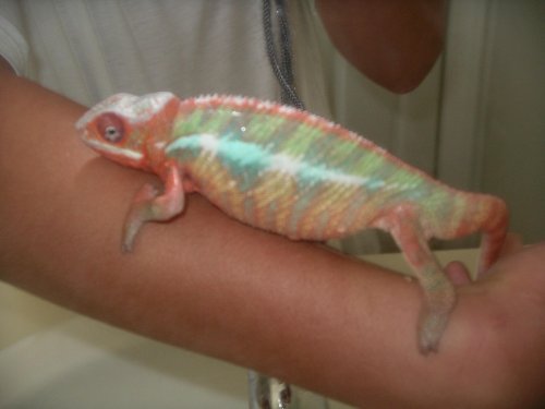 Pictures 2010 016.jpg