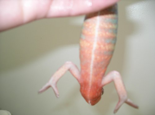 Pictures 2010 023.jpg