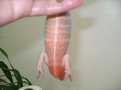 Pictures 2010 024.jpg