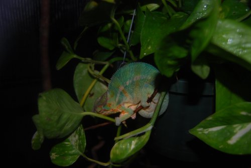 DSC_0048.jpg