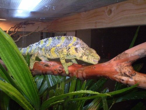 New Tenant 6-20-10.JPG