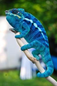 Enjoying the Outdoors.jpg