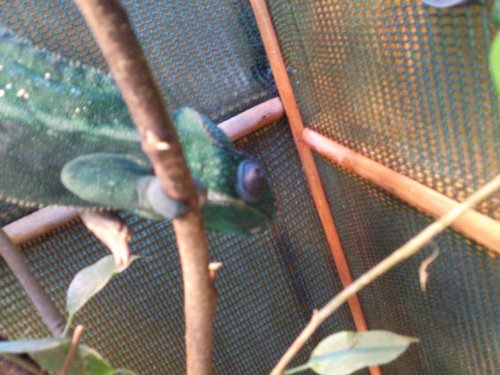 Photo0199.jpg