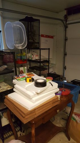 20170626_160202.jpg