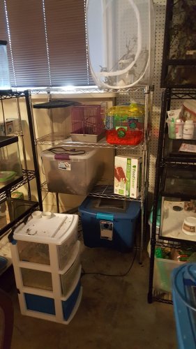 20170626_160149.jpg