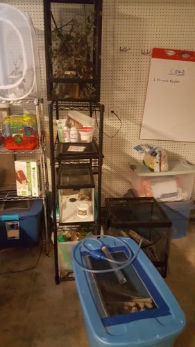 20170626_160152.jpg