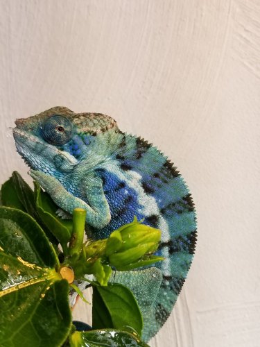 20170627_111730.jpg